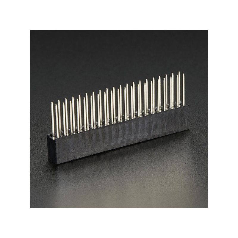 GPIO Female Header 2x20 pin - Extra long pins
