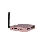 Compute Module 4 Media Center - Kamera - WLAN - 8GB RAM - 120GB SSD + 64GB microSD - Pink