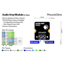 Audio Amplifier Module for Yukon (25W Mono Amp)