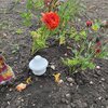 LoRaWAN 868MHz Temperatur - Luftfeuchtigkeit - Bodenfeuchte Sensor - Ansicht 9