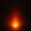 LED - Yellow 5mm - Ansicht 3