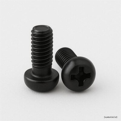 M3 Plastik-Zylinderkreuzschlitzschrauben - 5x10mm - 10...