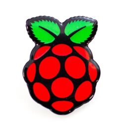 Raspberry Pi Enamel Badge Pin