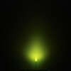 LED - Basic Green 5mm - Ansicht 3